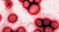 Απολύμανση επιχειρήσεων