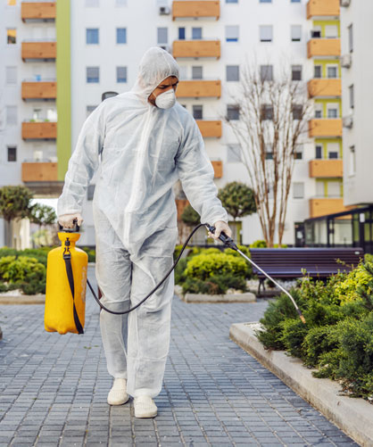 απολύμανση εντόμων-ερπετών