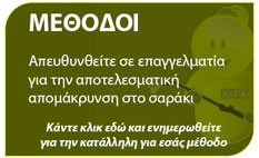 ξυλοφάγα έντομα και μέθοδοι αντιμετώπισης για το σαράκι