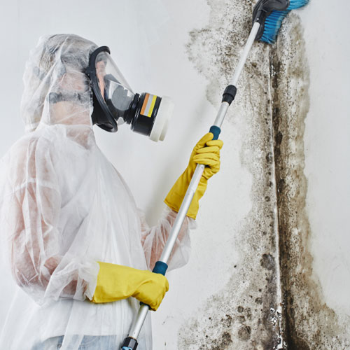 απολύμανση ψυκτικών θαλάμων