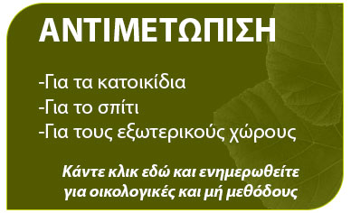 αντιμετώπιση κοριών