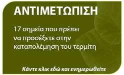 αποτελεσματική αντιμετώπιση τερμίτη