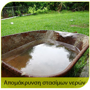 αντιμετώπιση κουνουπίου προστασία αμε΄σα απο την απομάκρυνση των στάσιμων νερών