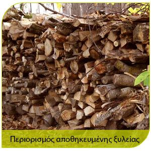 αντιμετώπιση τερμίτων και περιορισμός αποθηκευμένης ξυλείας 