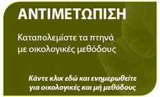 Αντιμετώπιση περιστεριών με οικολογικές μεθόδους