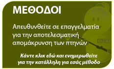 Μέθοδοι για αποτελεσματική αντιμετώπιση περιστεριών