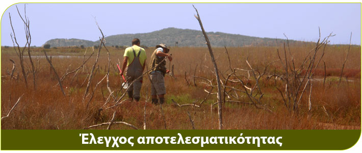 καταπολέμηη κουνουπιού με έλεγχο αποτελεσματικότητας ψεκασμών 