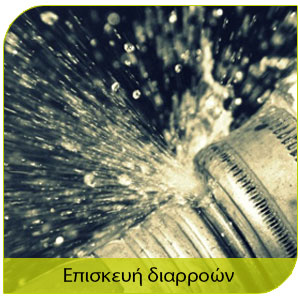 αντιμετώπιση τερμιτών και επισκευή υδροροών