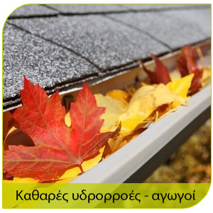 αντιμετώπιση τερμίτων και καθαρές υδροροές και αγωγοί