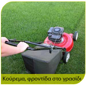 προστασία απο τα κουνούπια με΄σα απο την φροντίδα και το κούρεμα το γρασίδι