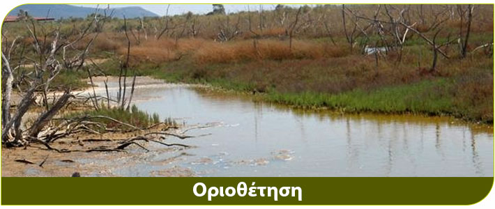 Καταπολεμηση κουνουπιών με οριοθέτηση 