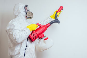 Υπηρεσίες απολύμανσης - απεντόμωση