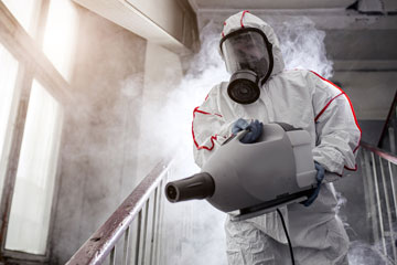 Υπηρεσίες απολύμανσης - θερμική μέθοδος