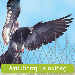 αντιμετώπιση πτηνών και περιστεριού με ακίδες